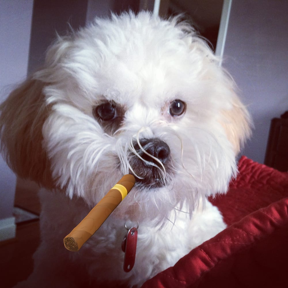 Tippi S.'s profile image