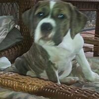 Jeanette W.'s profile image