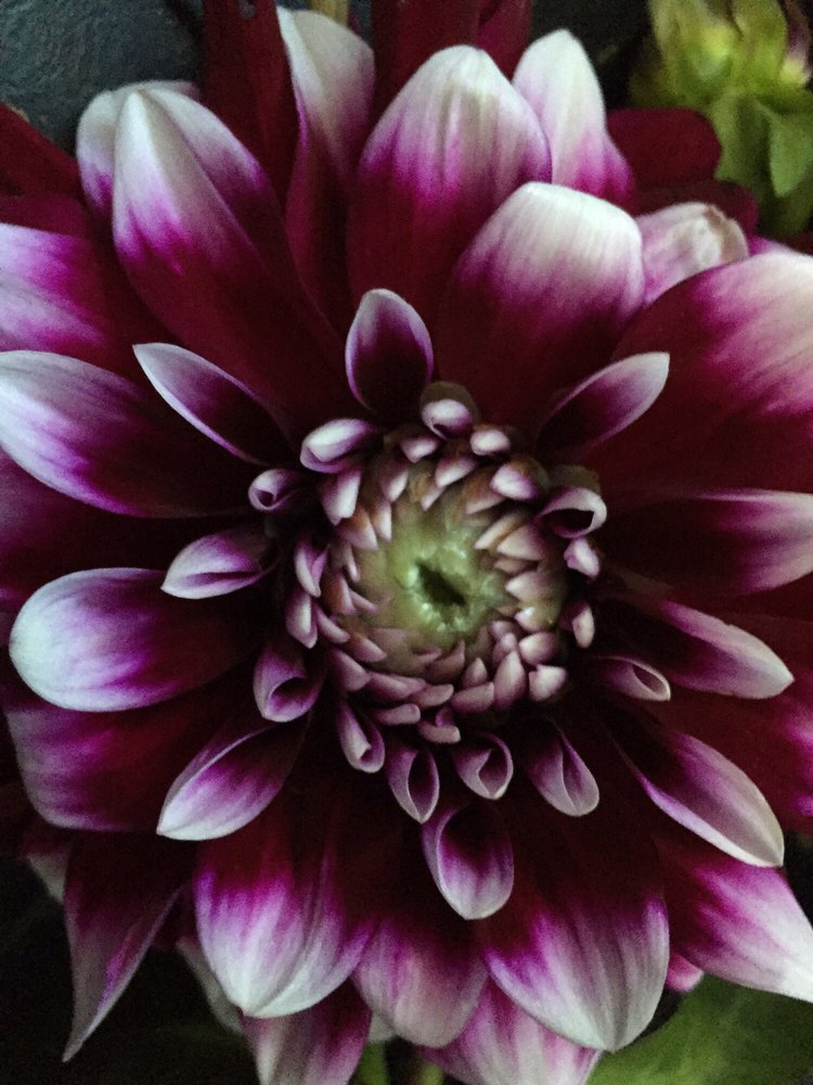 Pamela M.'s profile image