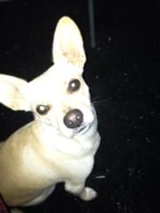 Michelle B.'s profile image