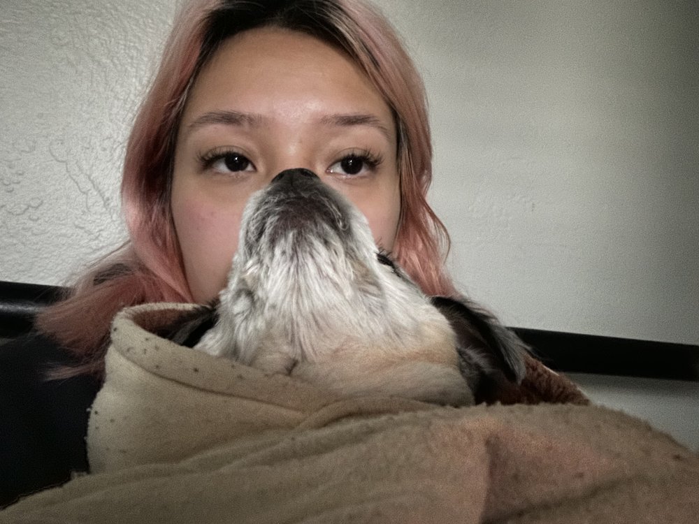 Janet P.'s profile image