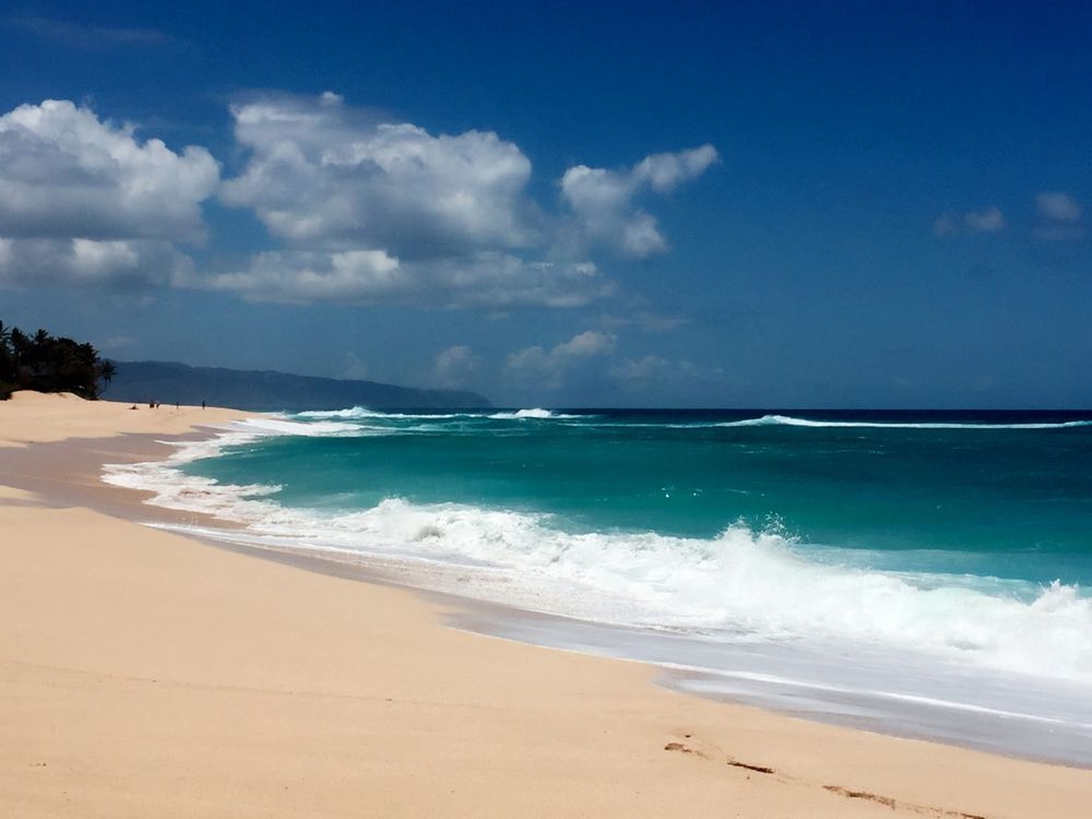 Joyce I.'s profile image