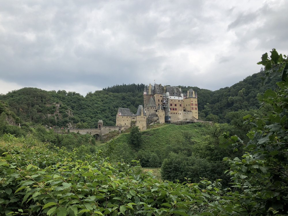 Wyatt W.'s profile image