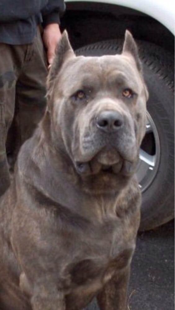 Fannie F.'s profile image