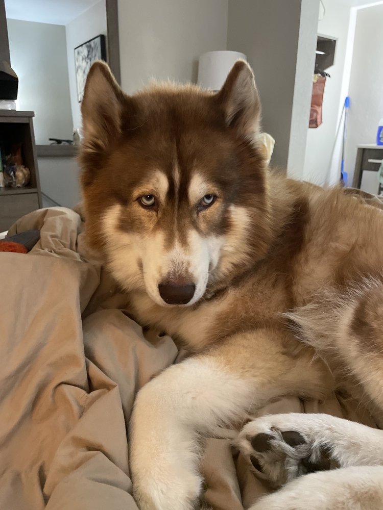 Ali R.'s profile image