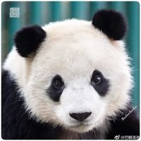 Mindy C.'s profile image