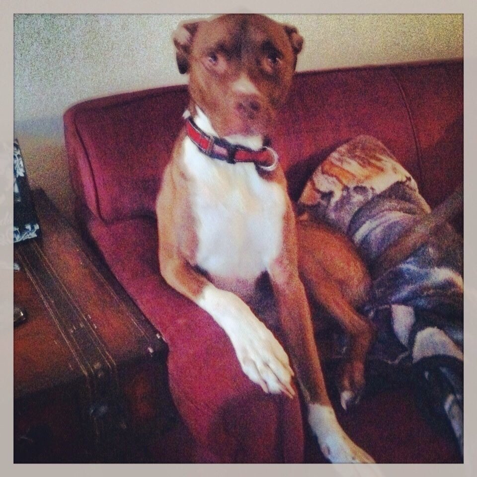 Tracey G.'s profile image