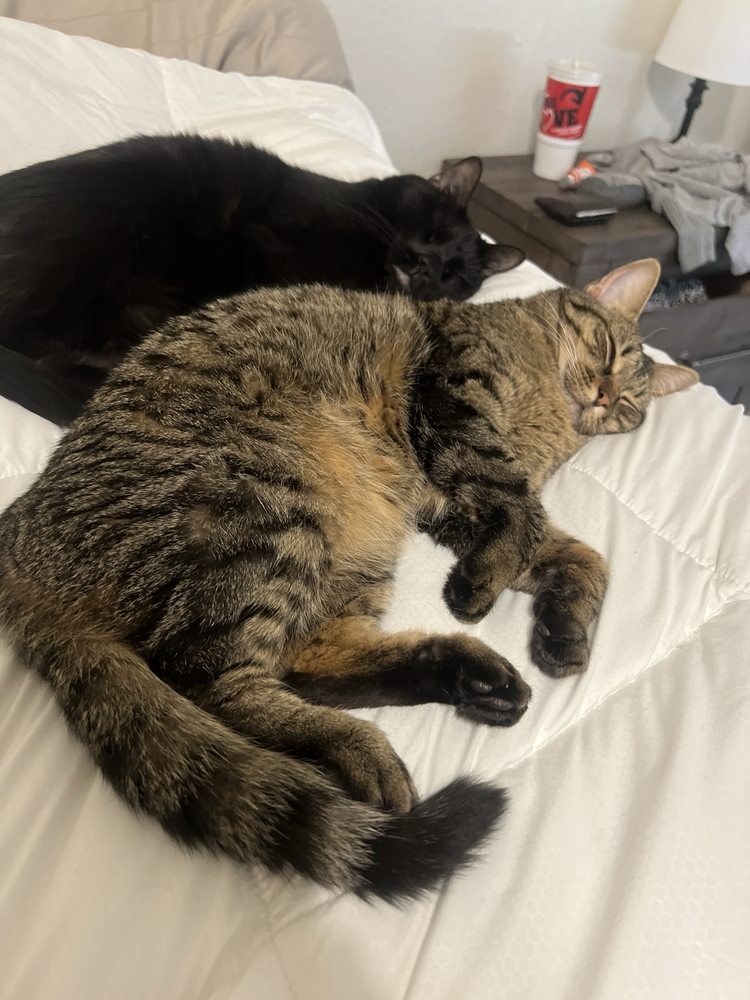 Isaac H.'s profile image