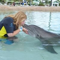 Tina S.'s profile image