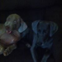 Zach T.'s profile image