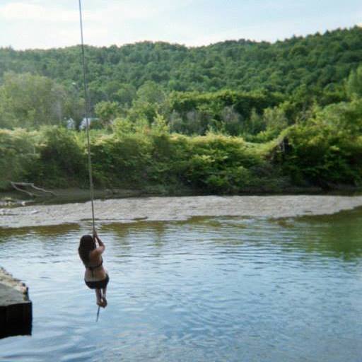 Tess R.'s profile image