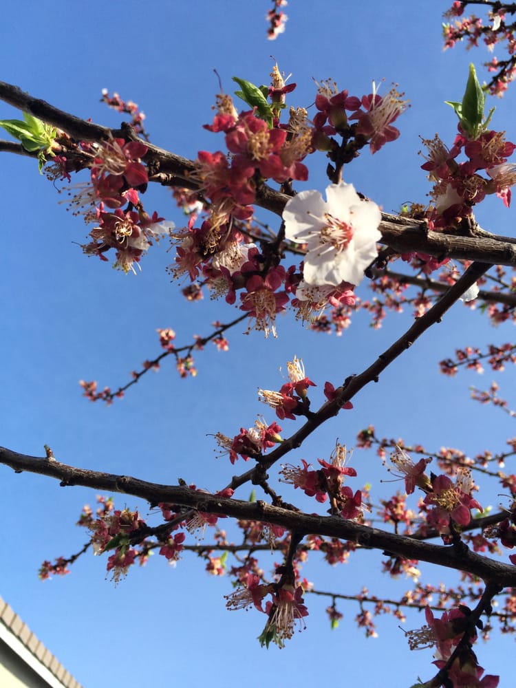 M H.'s profile image