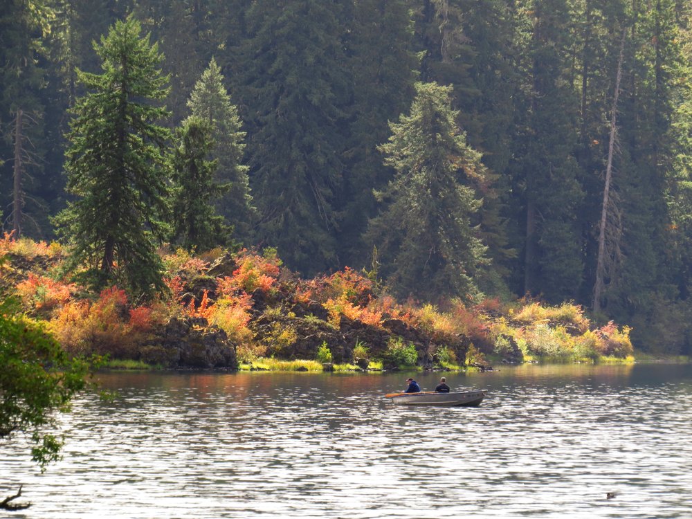 Jim B.'s profile image