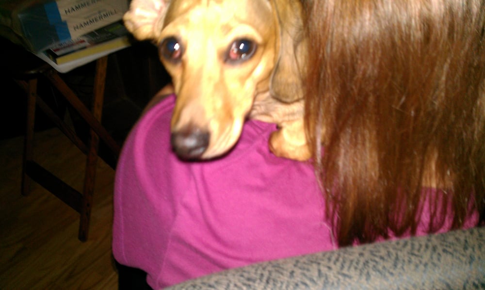 Krista H.'s profile image