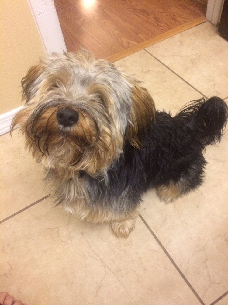 Nick K.'s profile image