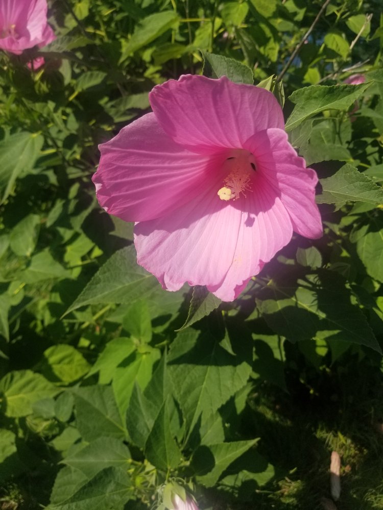 Angela T.'s profile image