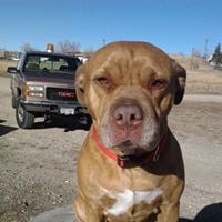 Kenneth T.'s profile image