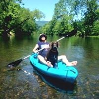 Bill S.'s profile image