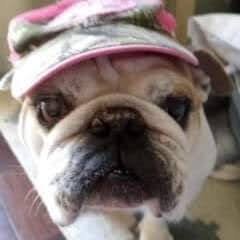 Sammi L.'s profile image