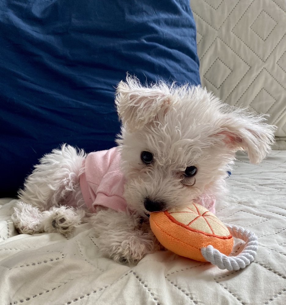 Maria E.'s profile image