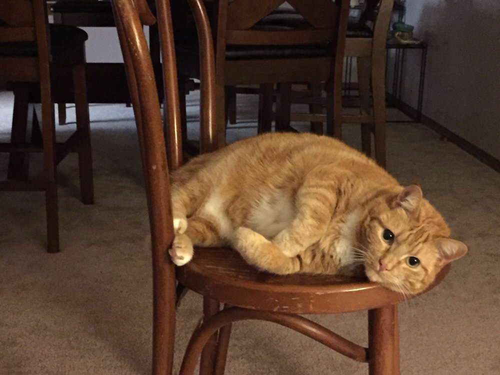 Mina H.'s profile image