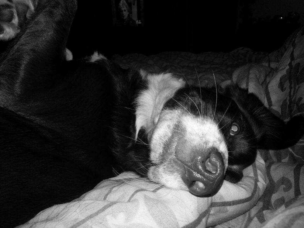 Lara H.'s profile image