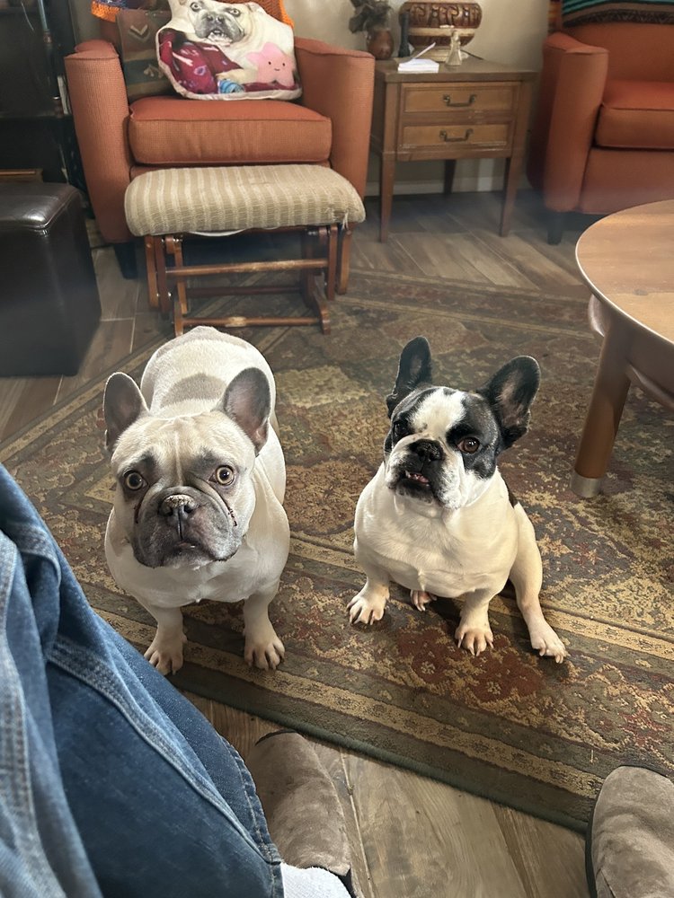 David J.'s profile image