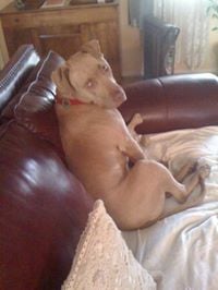 Bertrand R.'s profile image