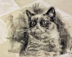 Laurel W.'s profile image