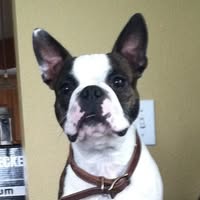 Lori Mason Ritter's profile image