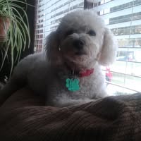 Dawn Harrison's profile image