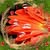 Helen Thomas's profile image