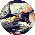 Diann Garnett's Profile Image
