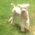 Rachelle Hanenberger's profile image