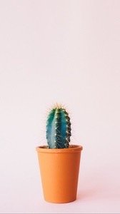 Cari C.'s profile image