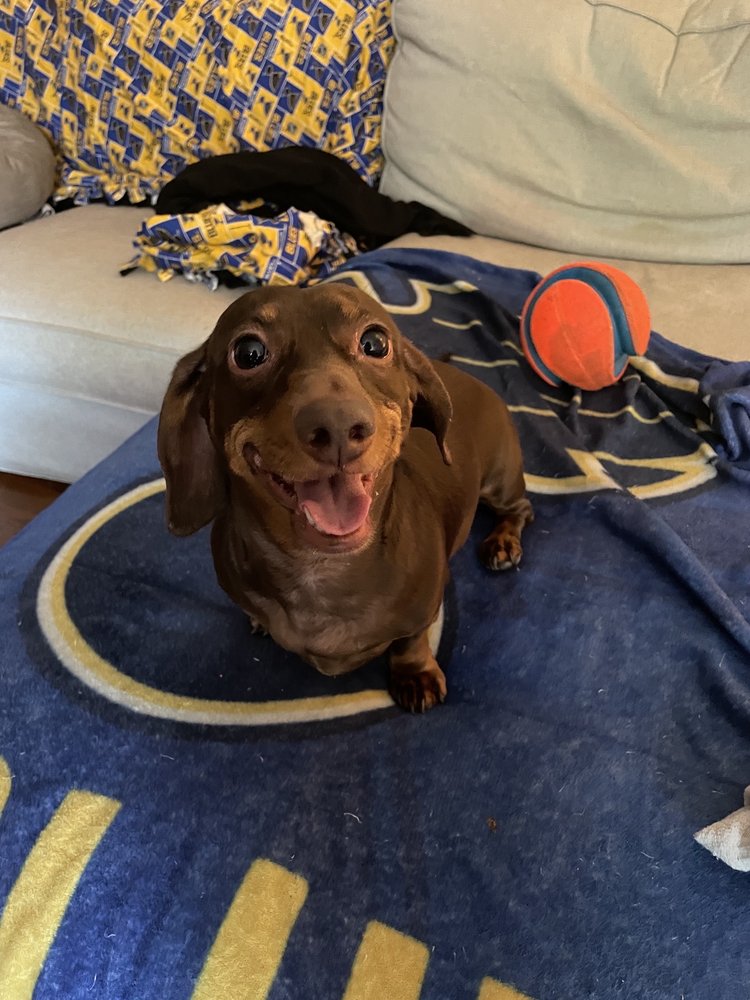 Clayton H.'s profile image