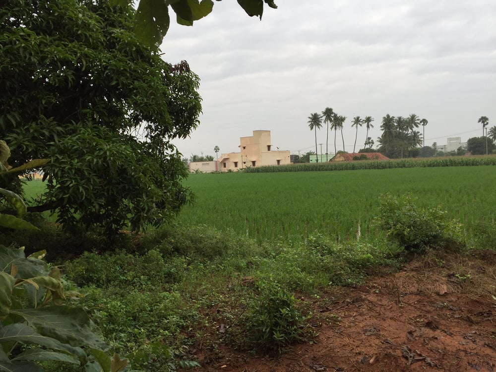 Vijay A.'s profile image