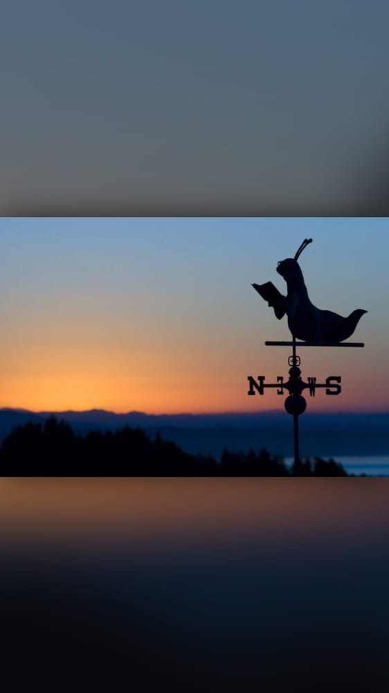 Peter H.'s profile image