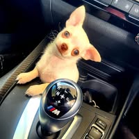 Benjamin Button's profile image