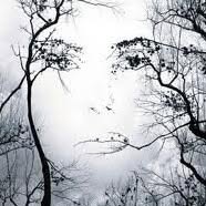 Karen Barrick's profile image