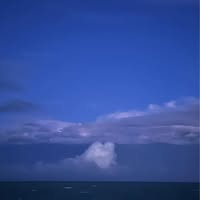 Liz Harper-Bledsoe's profile image