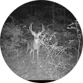 David Trent's Profile Image