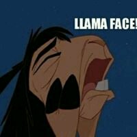 Shawn H.'s profile image