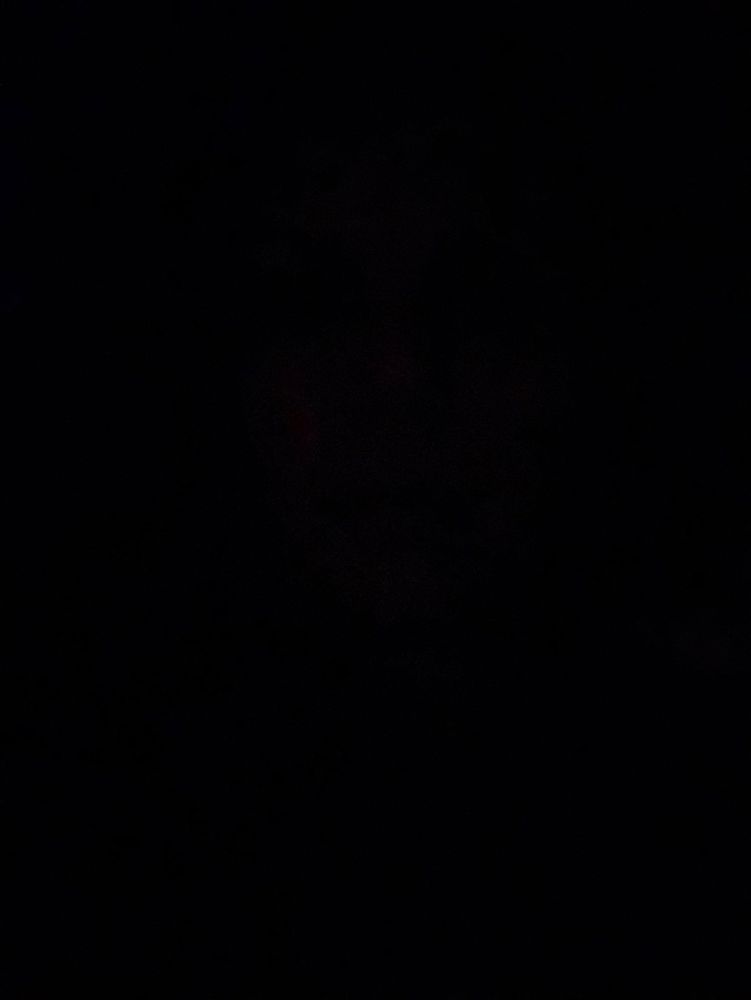 A M.'s profile image
