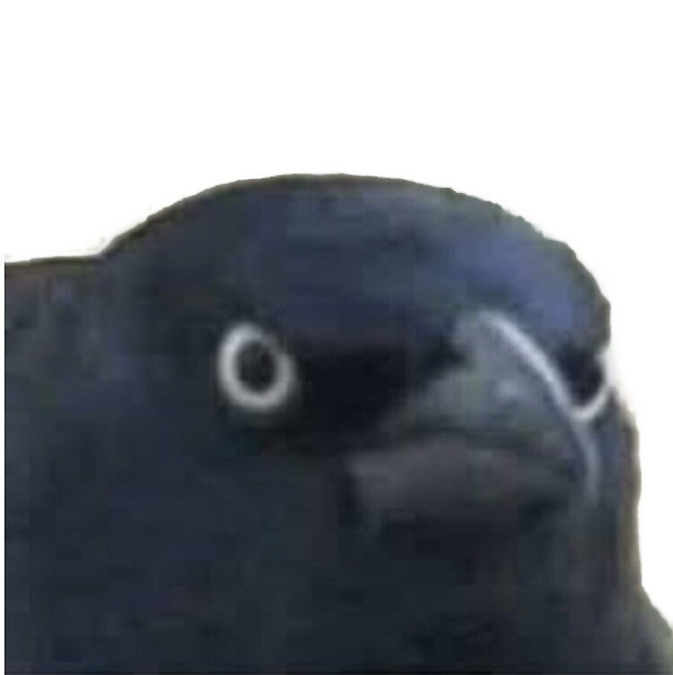 Damien W.'s profile image