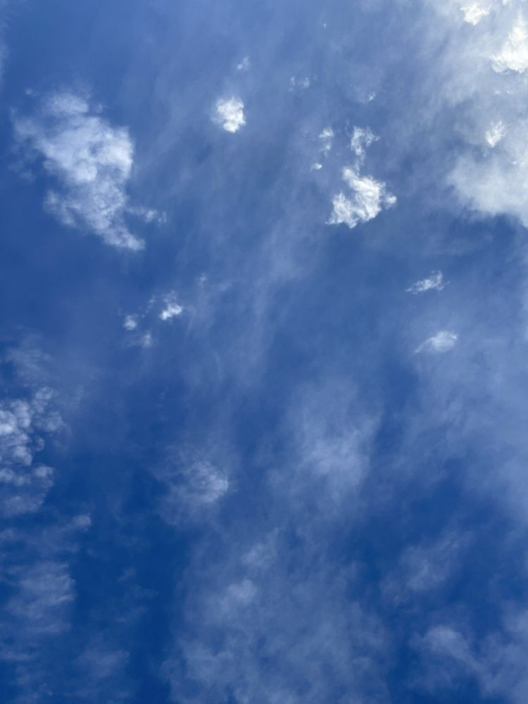 Ryder P.'s profile image