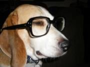 Alan M.'s profile image