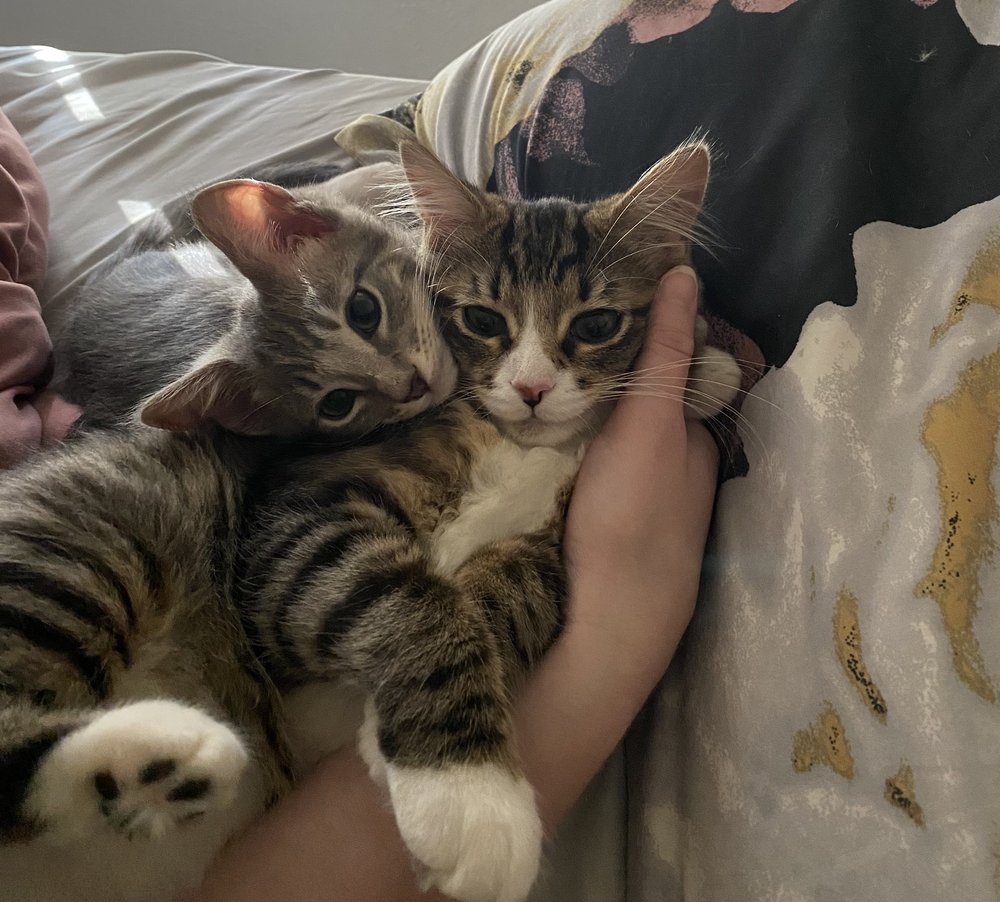 Leigha P.'s profile image