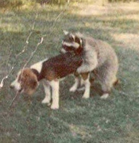 Kevin B.'s profile image