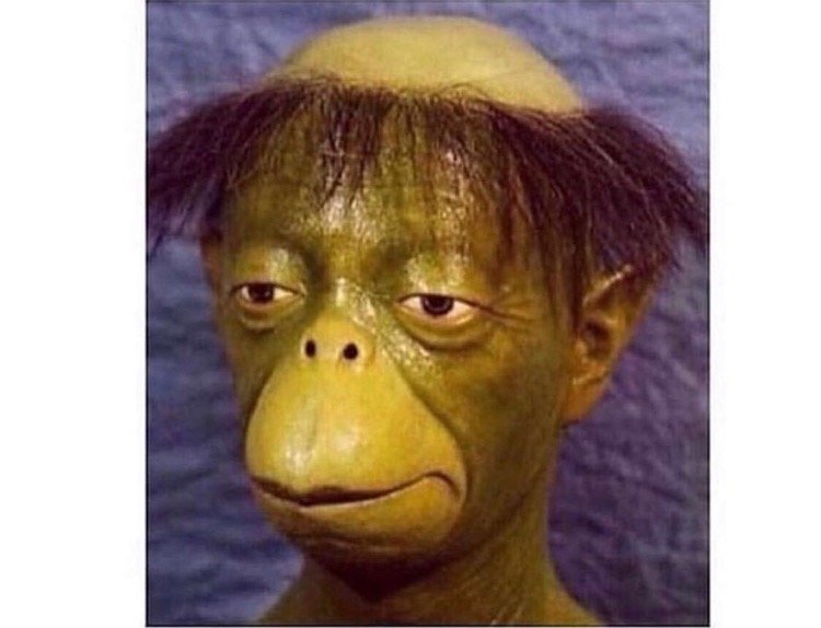 Hope B.'s profile image